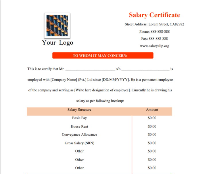SALARY CERTIFICATE FORMAT PDF DOWNLOAD IN WORD visual data 8