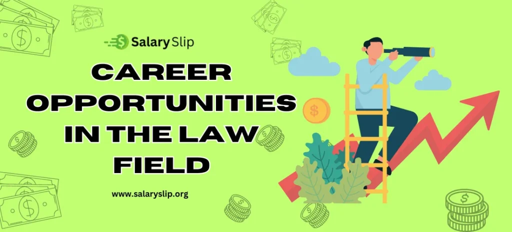 Career Opportunities in The Law Field