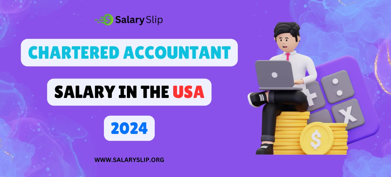 Chartered Accountant Salary In Us Per Year 