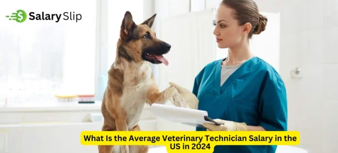 Veterinary Technician Salary in the United States