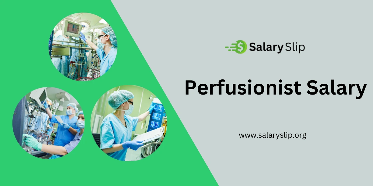 Perfusionist Salary: Average Earnings And Career Growth In 2025 Average Perfusionist Salary In the United States, 2025| Guide