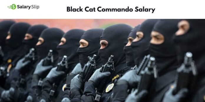 Black Cat Commando Salary