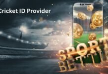 Best Cricket ID Provider for Fantasy Sports Players: A Complete Guide